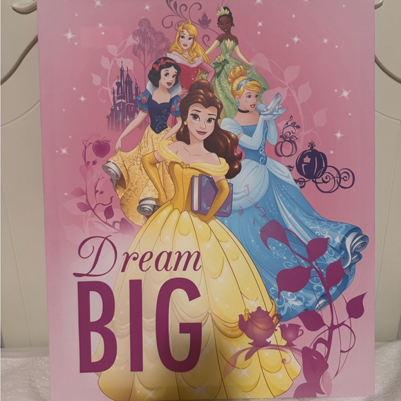 3 Piece Princess Set! Blanket / Throw, Canvas Wall Art & Princess Night Light - Picture 5 of 5
